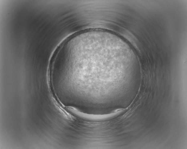 X0000075891076200609291700