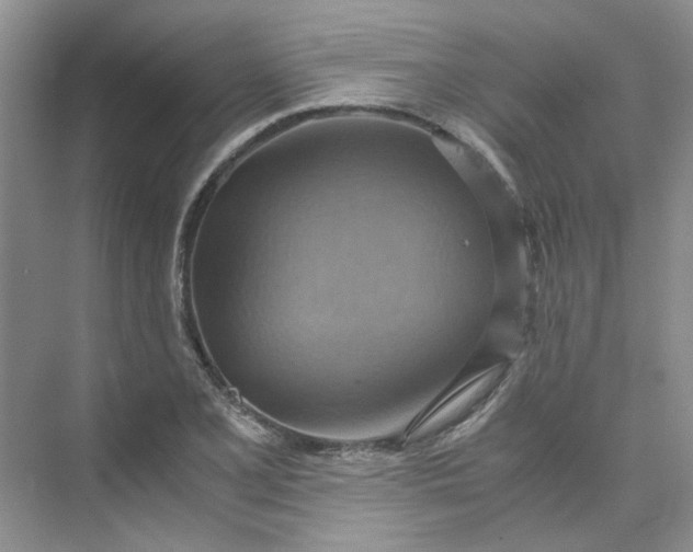 X0000075891077200609291700