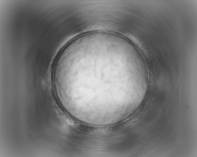 X0000075891078200609291700