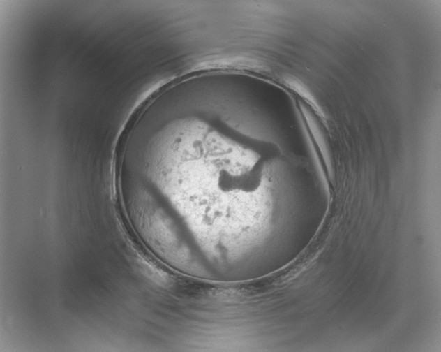 X0000075891079200609291700