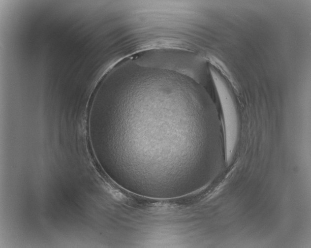 X0000075891081200609291659