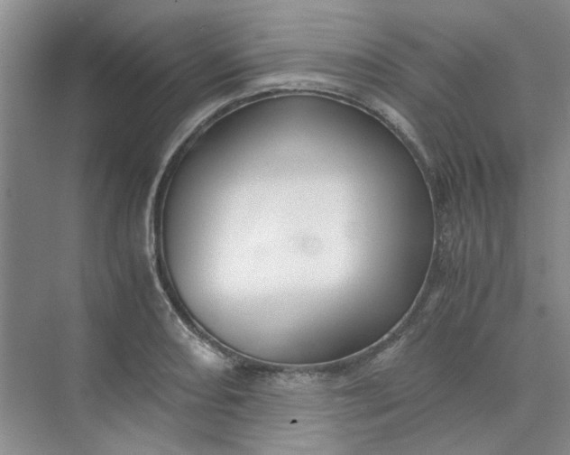 X0000075891082200609291659