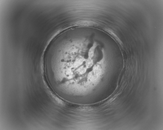 X0000075891083200609291659