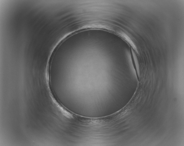 X0000075891084200609291659