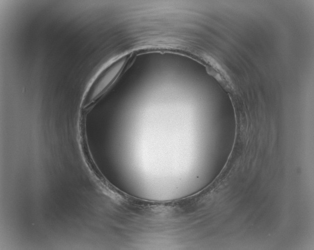 X0000075891085200609291659