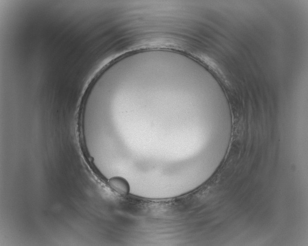 X0000075891086200609291659