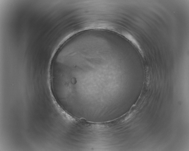 X0000075891088200609291659