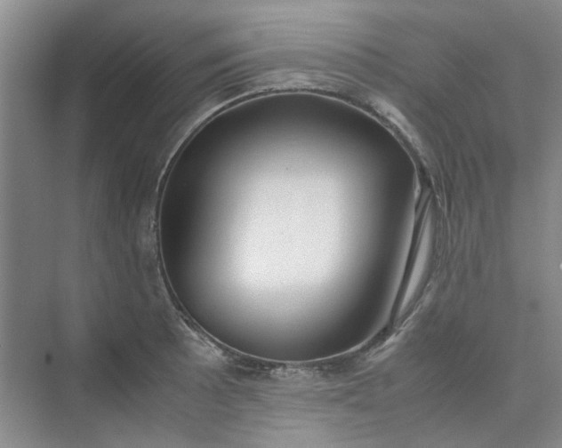 X0000075891089200609291659