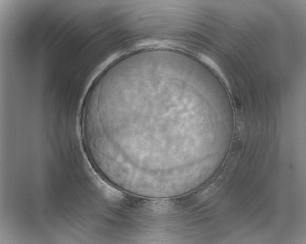 X0000075891090200609291659