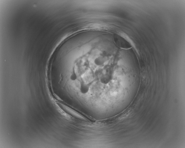 X0000075891091200609291659