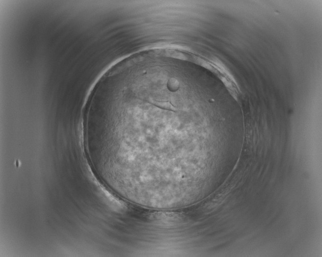 X0000075891092200609291659