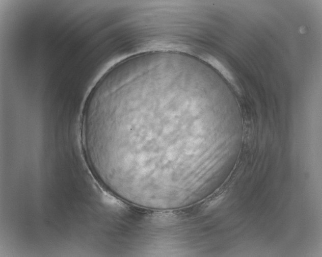 X0000075891094200609291659