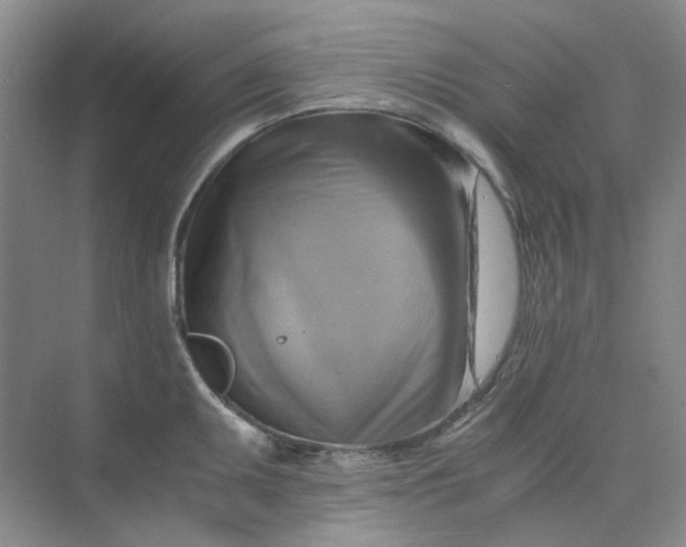 X0000075891095200609291659