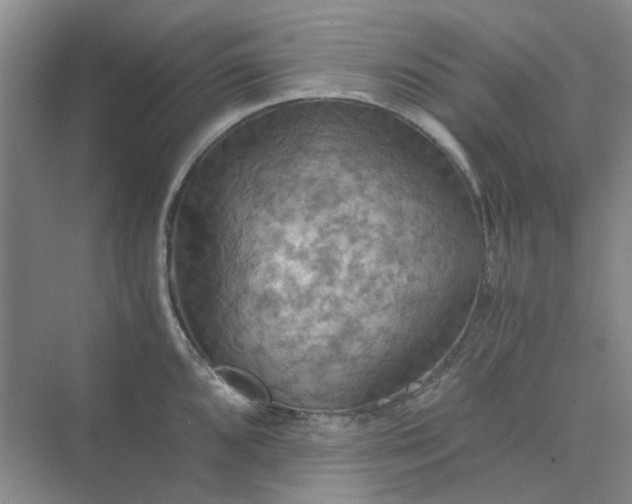 X0000075891096200609291659