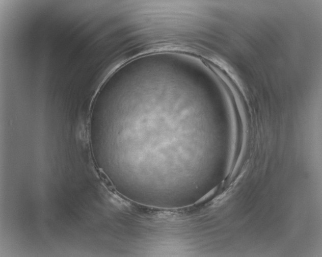 X0000075891097200609291659