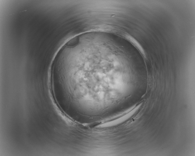 X0000075891099200609291659