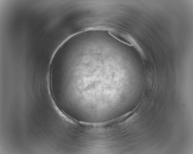 X0000075891100200609291659