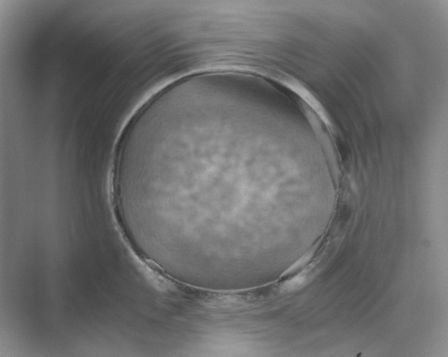 X0000075891101200609291659