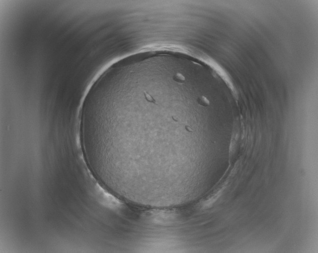 X0000075891102200609291659