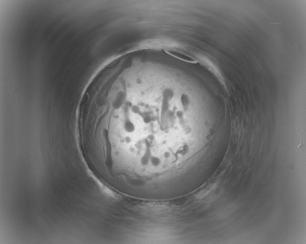 X0000075891103200609291659