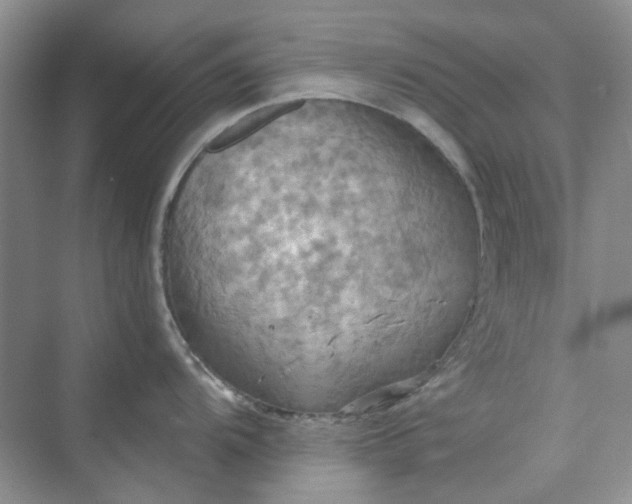 X0000075891104200609291659