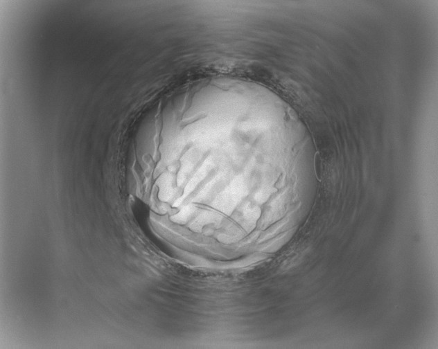 X0000075891105200609291658