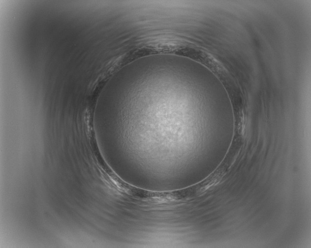 X0000075891108200609291658