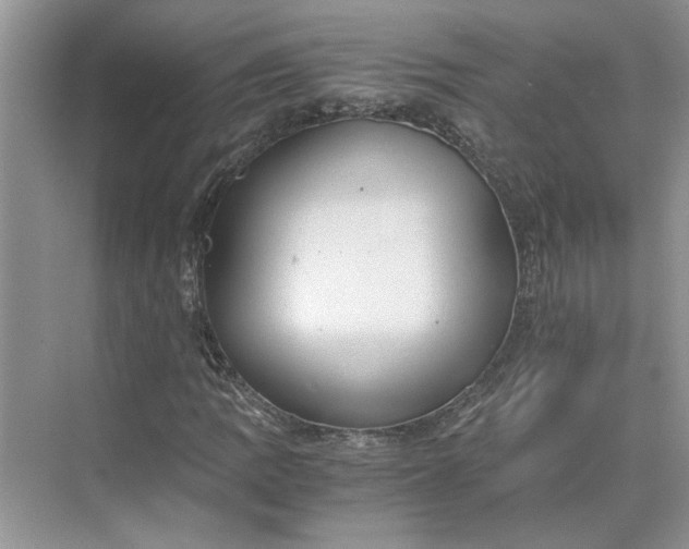 X0000075891109200609291658