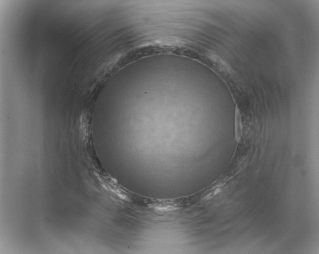 X0000075891110200609291658