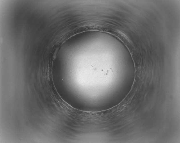 X0000075891111200609291658