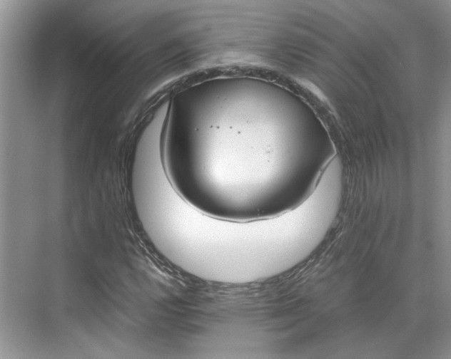 X0000075891112200609291658