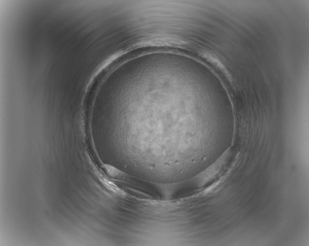 X0000075891114200609291658