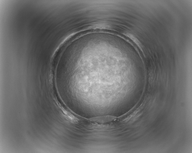 X0000075891115200609291658