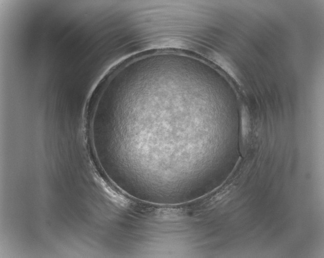 X0000075891116200609291658