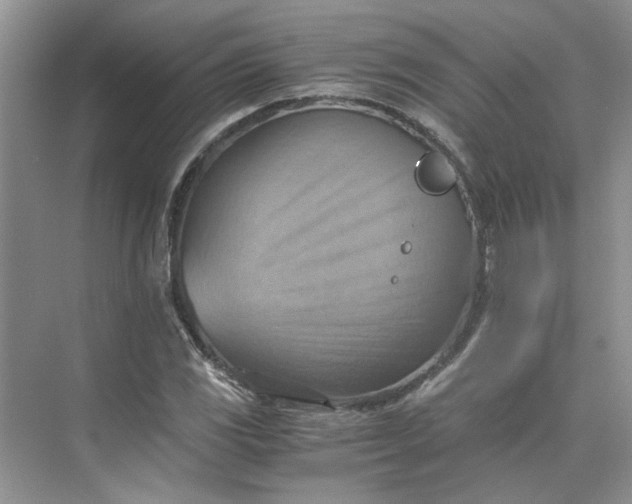 X0000075891117200609291658