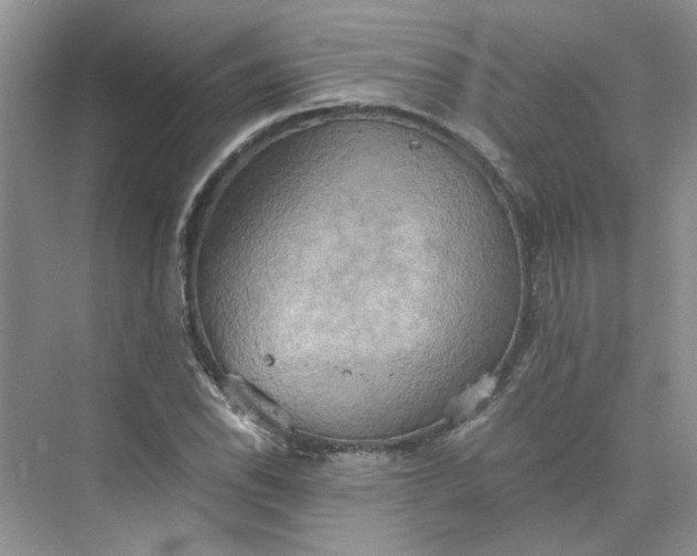 X0000075891118200609291658