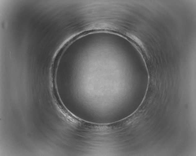 X0000075891120200609291659