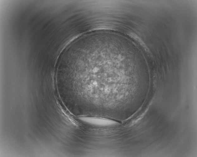 X0000075891121200609291659