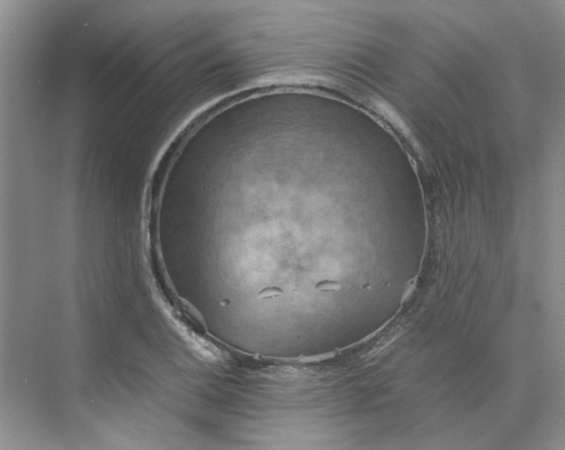 X0000075891124200609291659