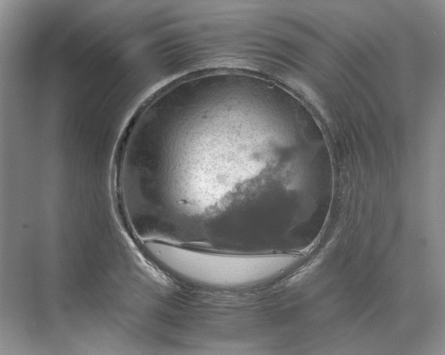 X0000075891125200609291659