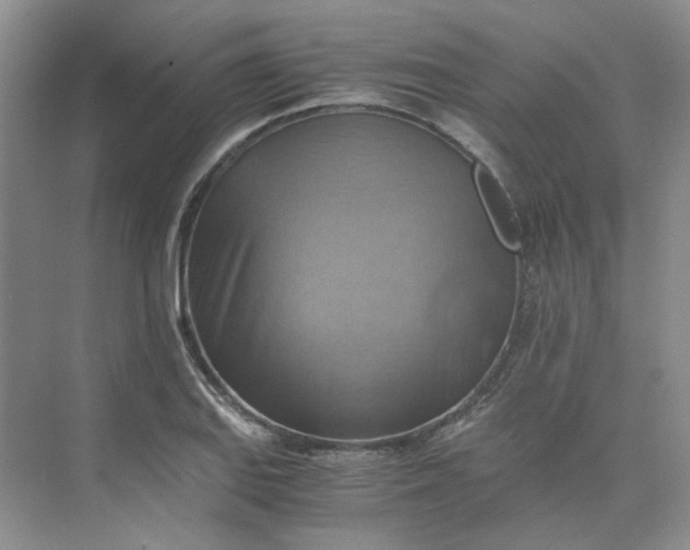 X0000075891127200609291659