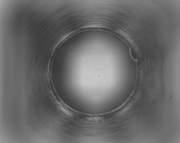 X0000075891129200609291659