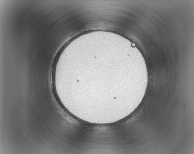 X0000075891130200609291659