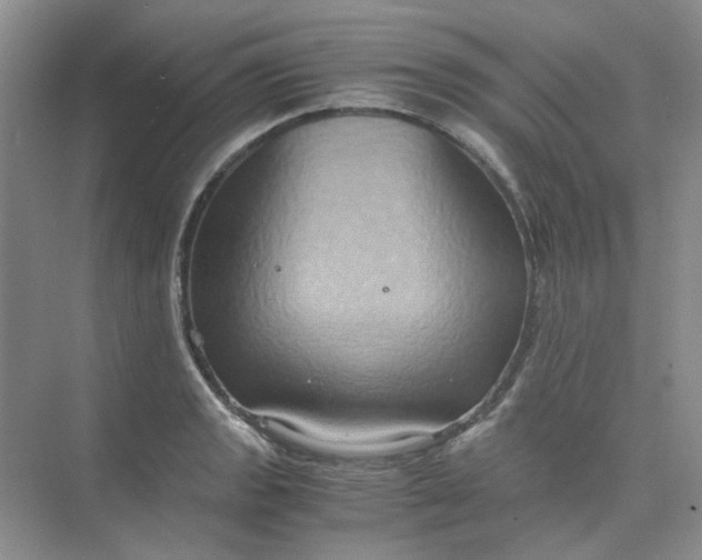 X0000075891133200609291659