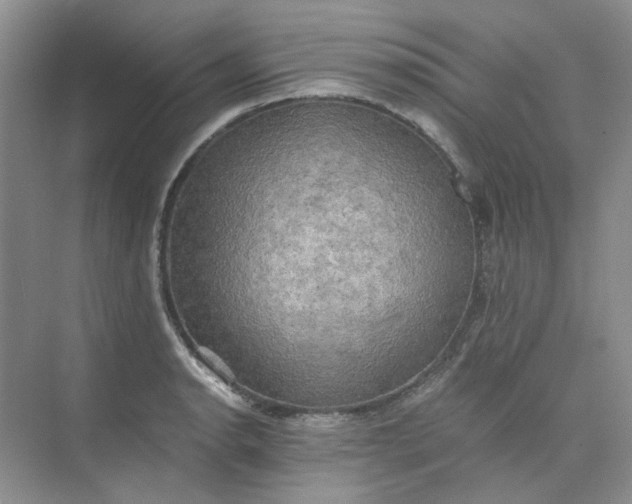 X0000075891134200609291659