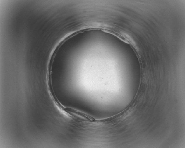 X0000075891136200609291659