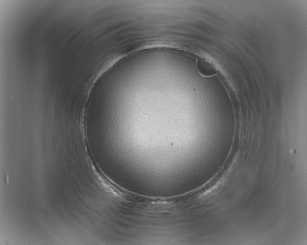 X0000075891137200609291659