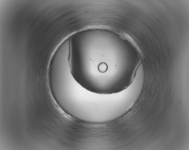 X0000075891140200609291659