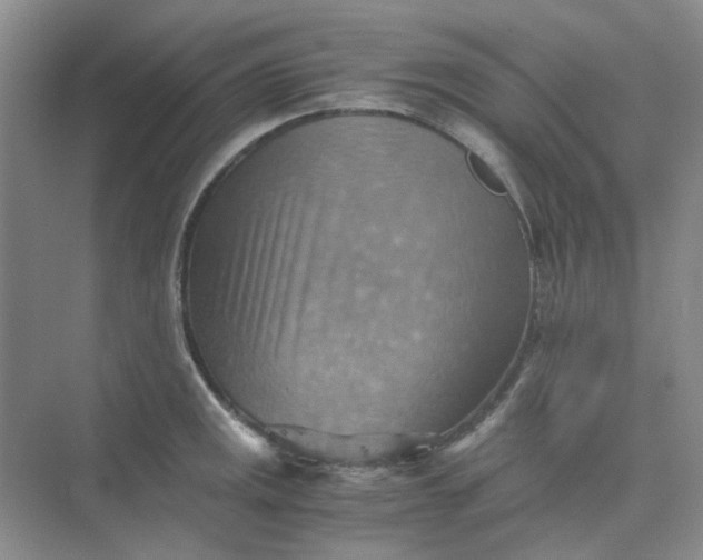 X0000075891141200609291659