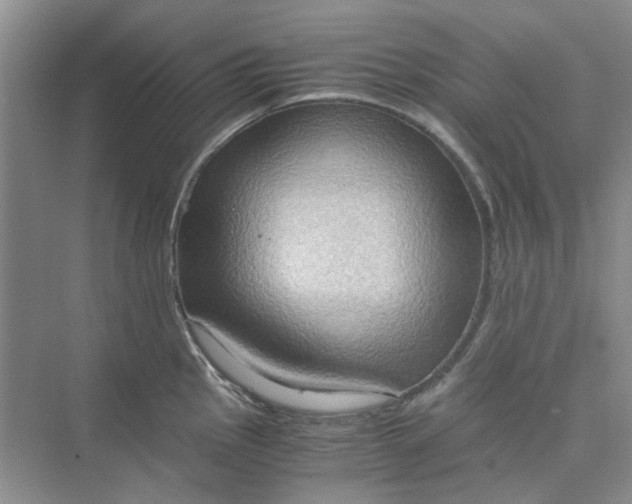 X0000075891145200609291659